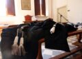 'Metodi mafiosi ma con obiettivi criminali comuni'