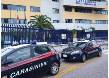 A marzo carabinieri di Avellino hanno scoperto 57 'furbetti'