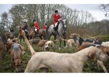 Dopo introduzione legge che la vieta. Vittoria animalisti
