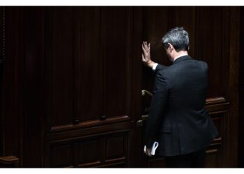 Da parlamentare seguo dei dossier molto importanti