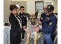 La prima in una questura. Cerimonia per il cane 'Platone'