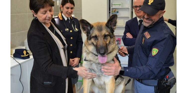 La prima in una questura. Cerimonia per il cane 'Platone'