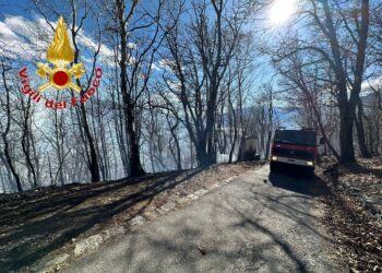 Incendio Montemezzo