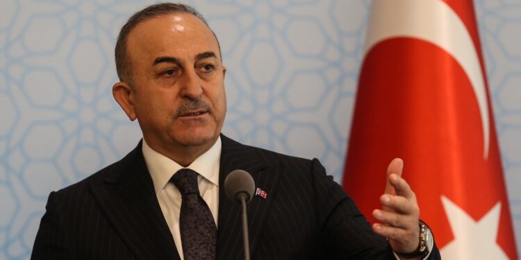 Cavusoglu