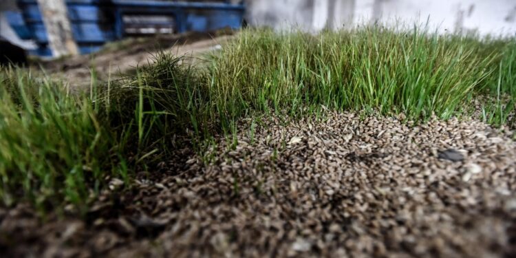 Giovedì scorso era stata vietata la lavorazione per pesticidi