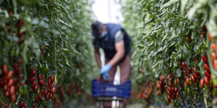 Ministro al Vinitaly parlando del flussi dei migranti