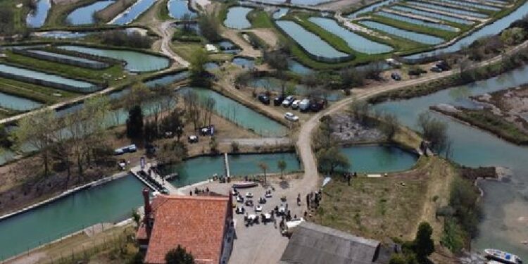 Accade a Lio Piccolo dove sono cominciati lavori messa a dimora