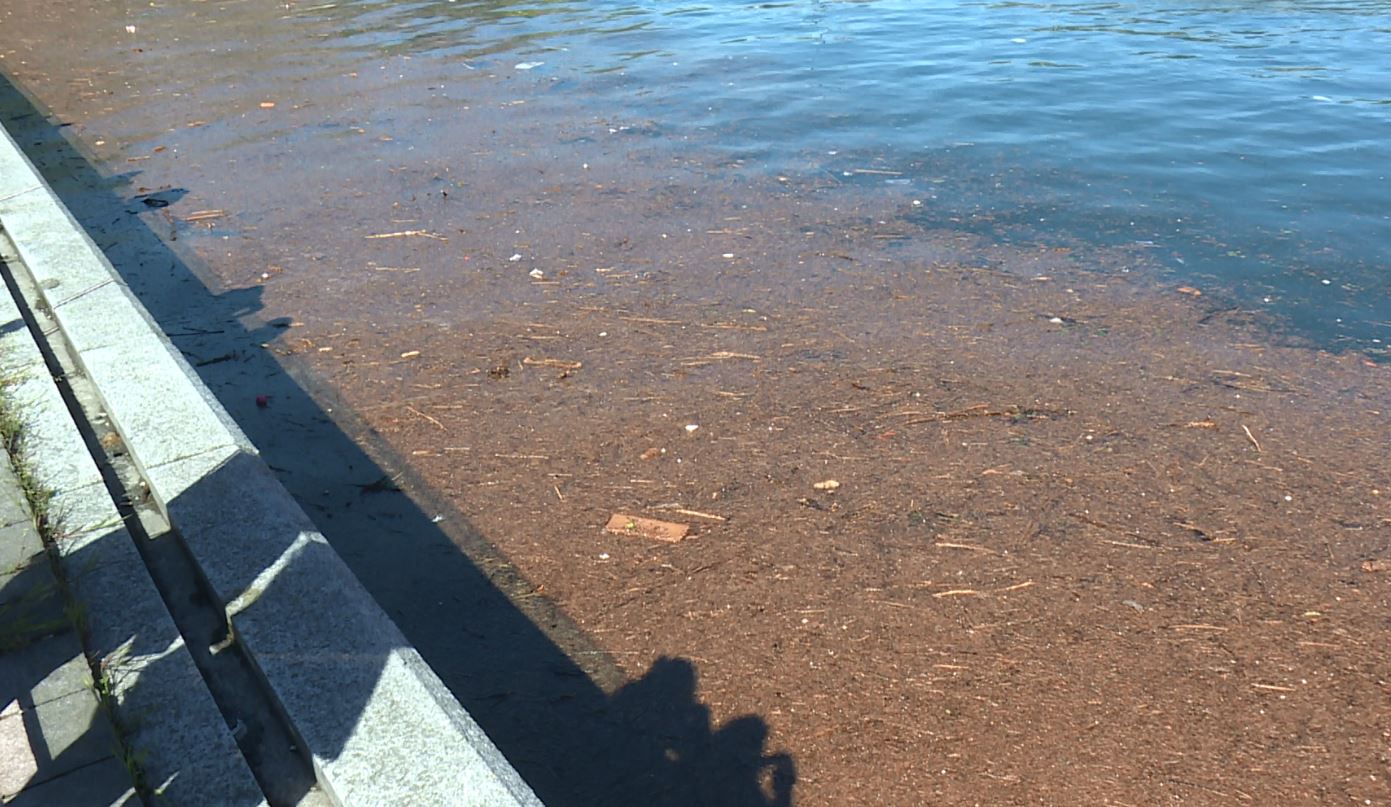 Como affollata di turisti, lago sporco dopo la pioggia. Traffico sulla Regina