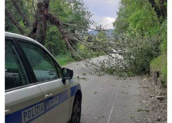 Vento sostenuto sulla costa da stamattina ma pochi disagi