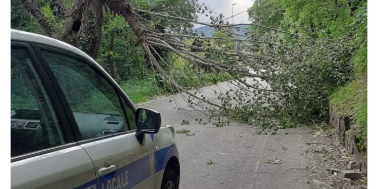 Vento sostenuto sulla costa da stamattina ma pochi disagi