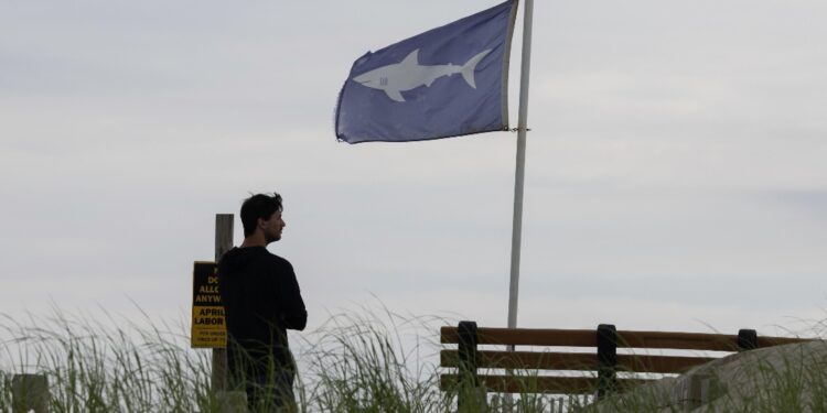 Ondata di attacchi sulla costa est