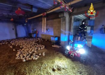 I vigili del fuoco nel Forlivese con un robot speciale