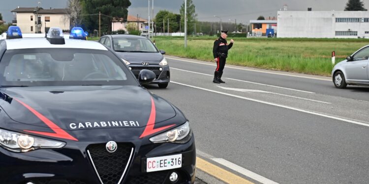 Trovati dai carabinieri durante un controllo