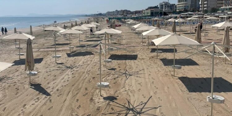 Le piene avevano trascinato tronchi e rami sull'arenile