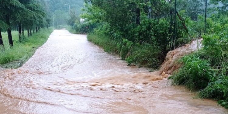 Acqua ha invaso l'autostrada