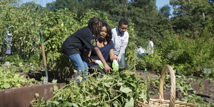 PLEZi Nutrition ha l'obiettivo di 'cambiare l'industria in Usa'