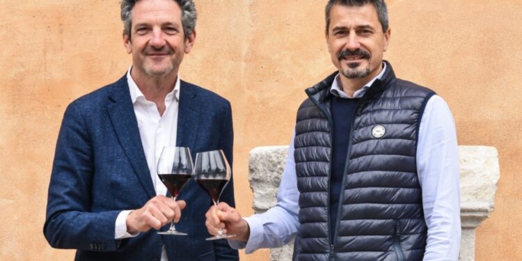 Ora si guarda al futuro in nome della denominazione Valpolicella