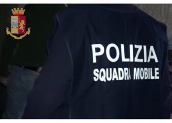 Operazione della Squadra mobile di Trieste