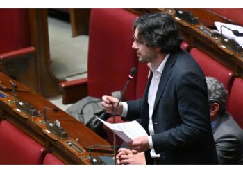 Capogrupo M5S alla Camera