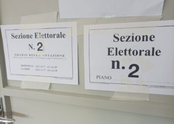 Elezioni