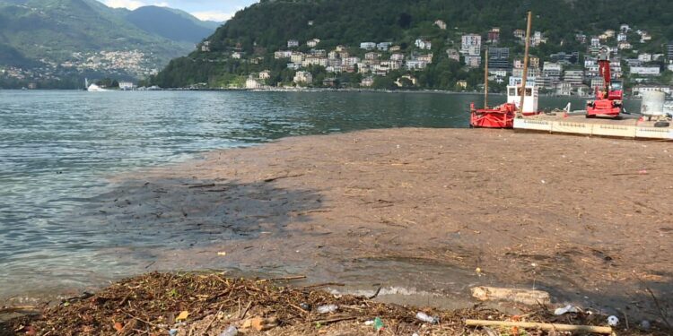 lago sporco