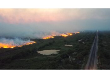 Gli incendi sono però diminuiti del 26% rispetto all'anno scorso