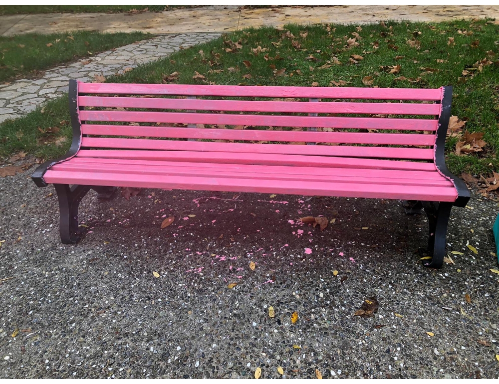 Contro la violenza alle donne i Pm avranno tempi stringenti