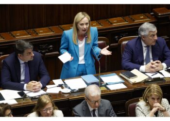Viceministro Cirielli si è rimesso alla commissione