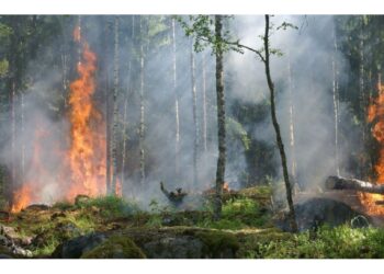 Il sistema è in grado anche di prevedere l'andamento del fuoco