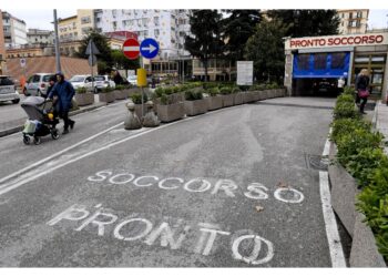 Nel Napoletano.Cause accidentali