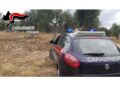 Indagano i carabinieri