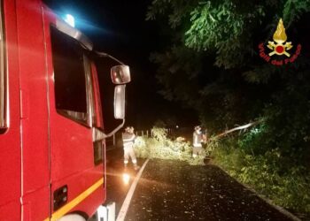 Sono state decine gli interventi dei vigili del fuoco