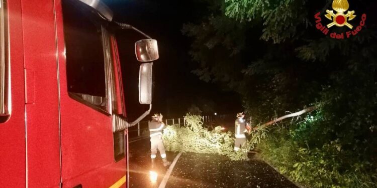 Sono state decine gli interventi dei vigili del fuoco