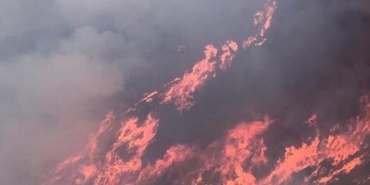 Le fiamme hanno raggiunto la casa di campagna in cui viveva