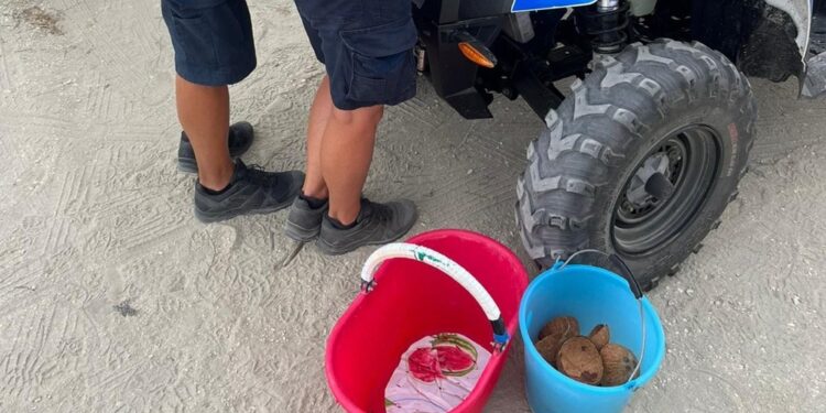 Il sequestro della polizia locale a Lido Adriano