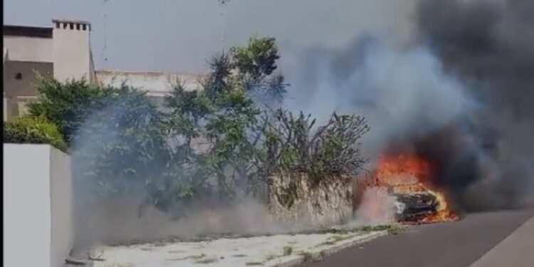 Preoccupa il vento di maestrale che potrebbe alimentare incendi
