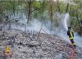 Fiamme alimentate dal vento caldo