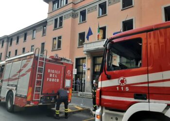 Portati in 15 ospedali diversi