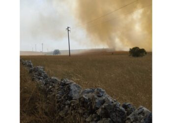 Fronte di fuoco di circa 2 chilometri