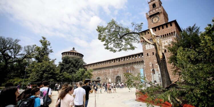 'Al parco di porta Venezia un albero su dieci è caduto'