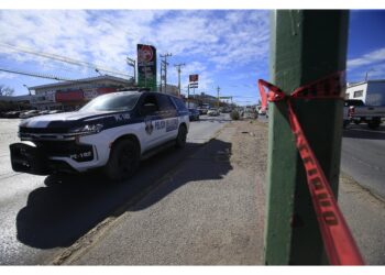 Era stato prelevato da casa insieme al suo pc e a un hard disk
