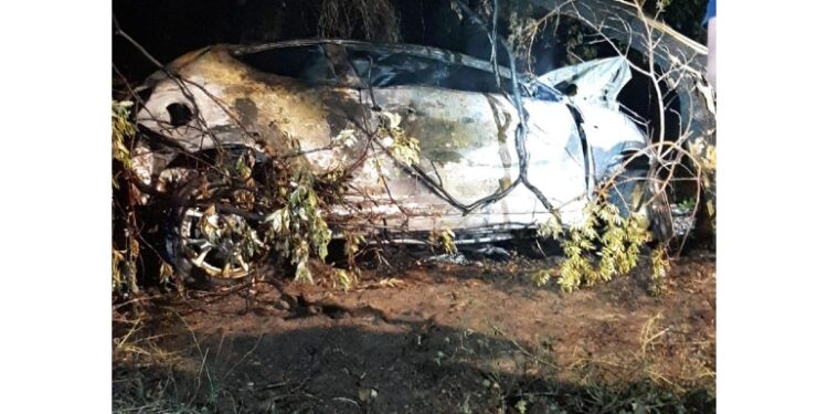 L'incidente nel parco della Favorita a Palermo