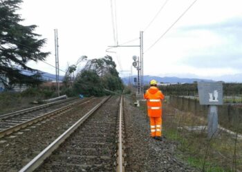 Problemi a Monza