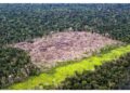 Operazioni militari per salvare i parchi naturali