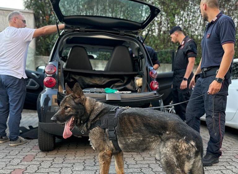 Cocaina in casa, 29enne arrestato per spaccio nel Canturino