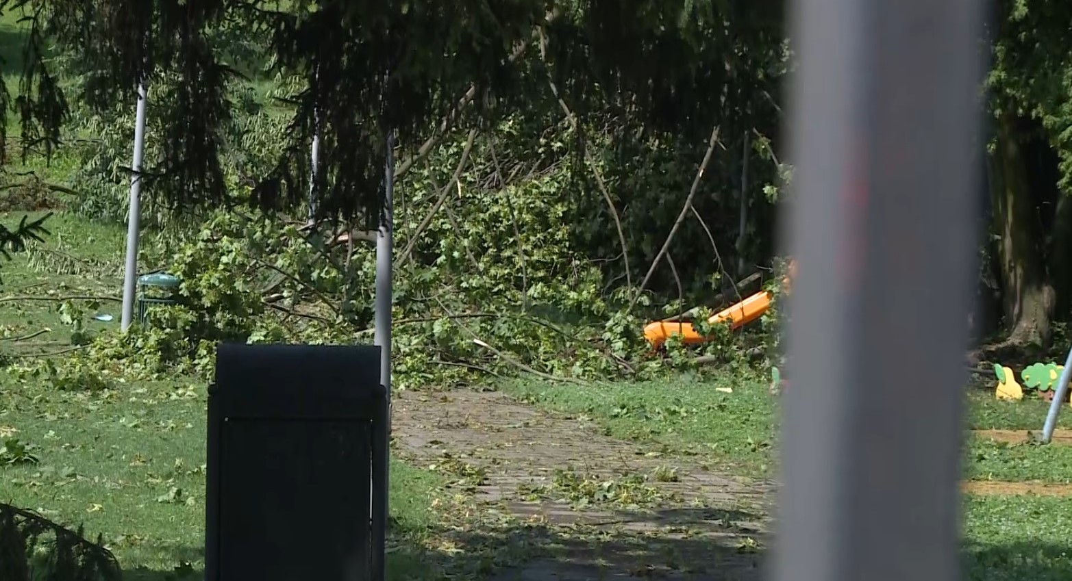 Verde pubblico ad Anzano e Alzate: incuria e polemiche dopo il maltempo