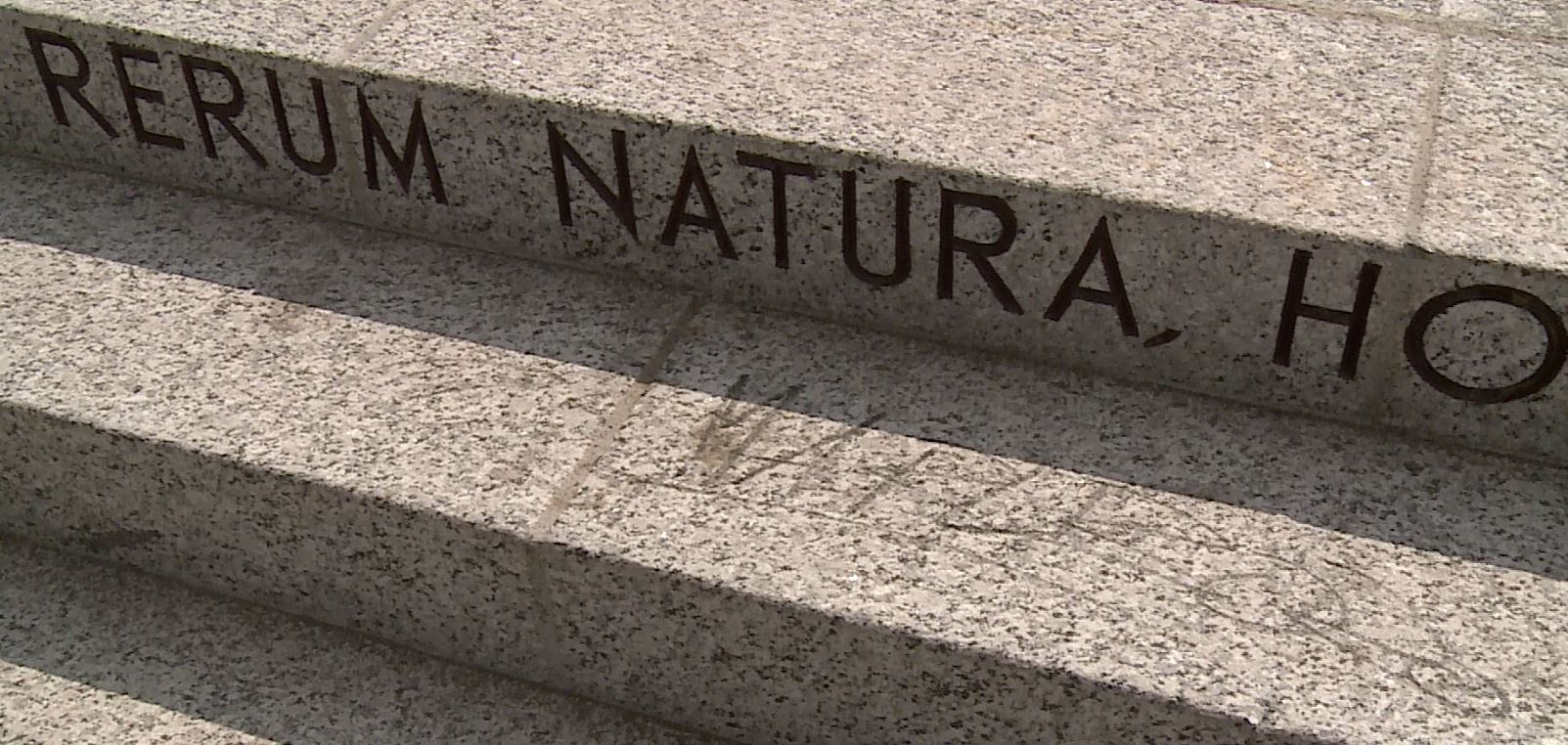 Lungolago di Como, atti vandalici e danni sulla nuova passeggiata