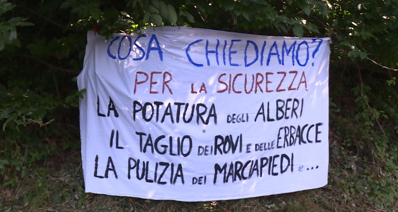 Sagnino, protesta dei cittadini per piante non curate e scarsa manutenzione del verde pubblico