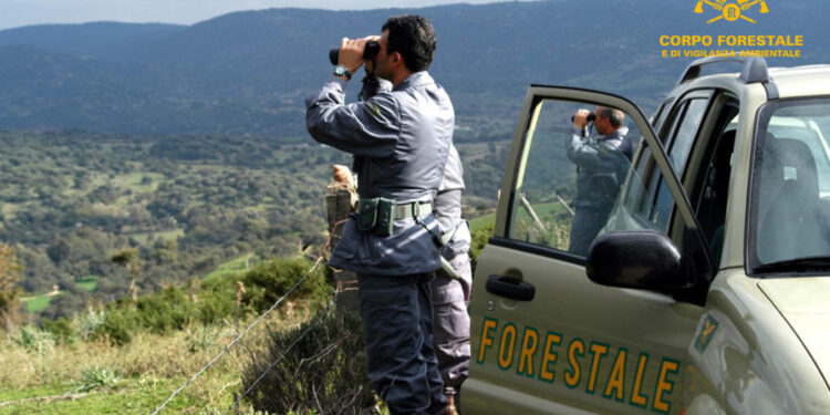 Identificato dagli investigatori del Corpo forestale