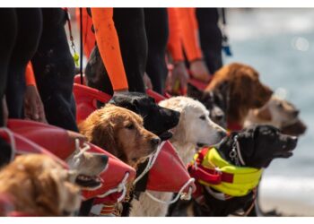 Intervento alla spiaggia libera